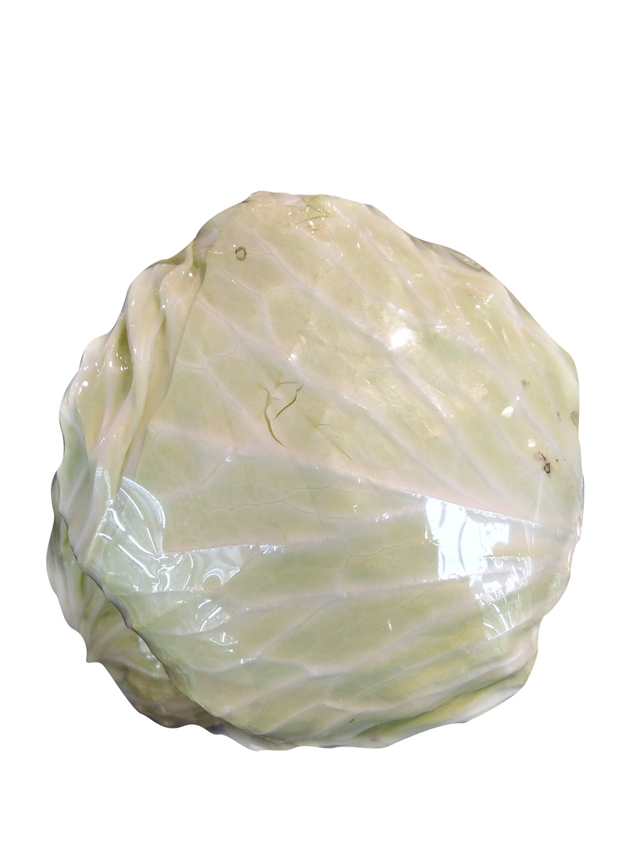 CAMERON ROUND CABBAGE (+/-500G)