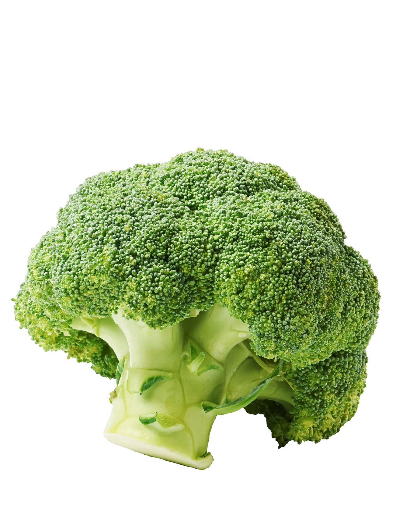 AUST BROCCOLI (+/- 400G)