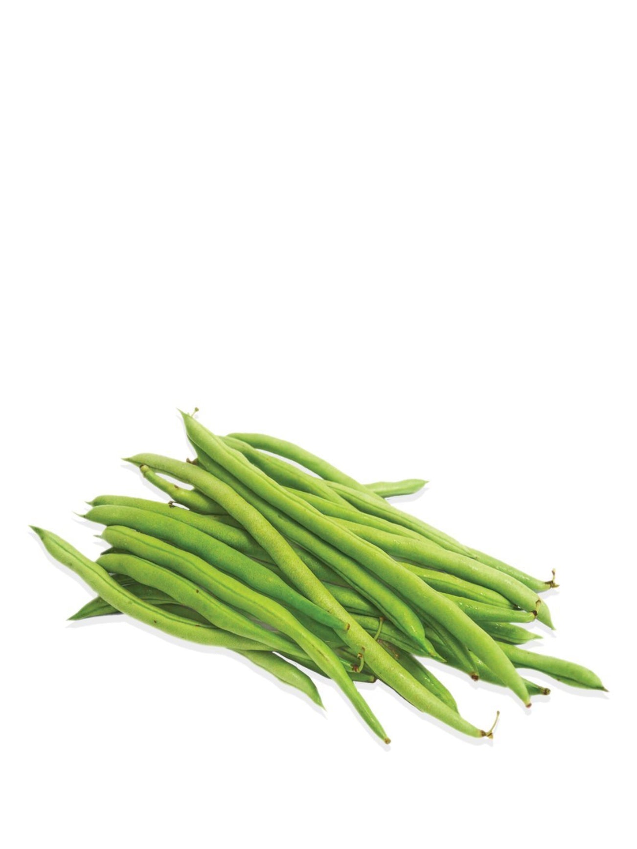 NL FRENCH BEAN 280G